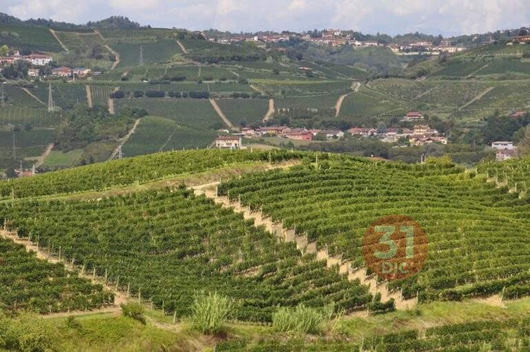 Scopri di più sull'articolo Capodanno nelle Langhe e Roero