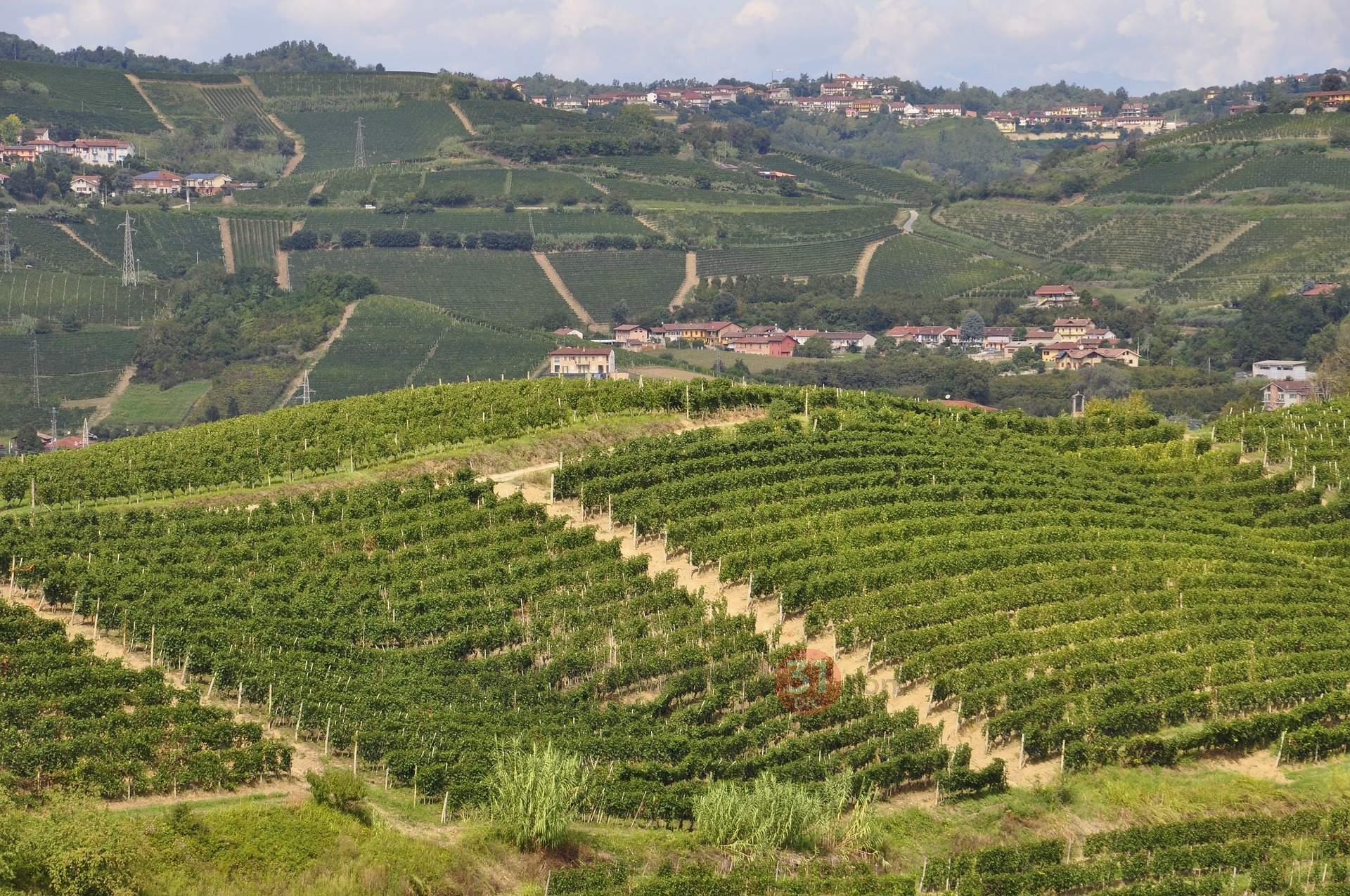 Scopri di più sull'articolo Capodanno nelle Langhe e Roero