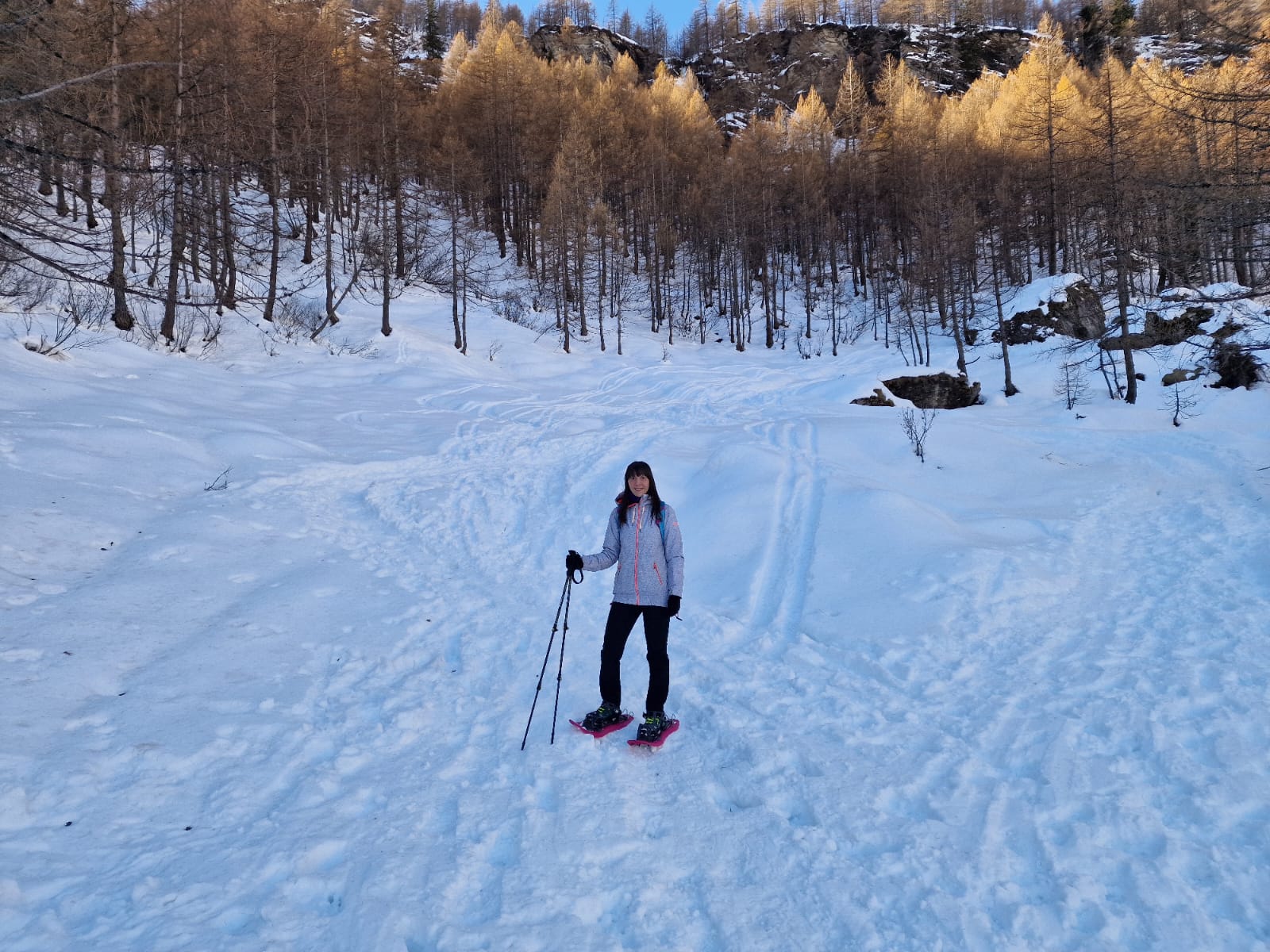 Immagine WhatsApp 2025 08 08 ore 11.27.13 aa2f2ee9