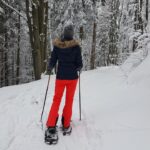 snow 3310478 1280 1 150x150
