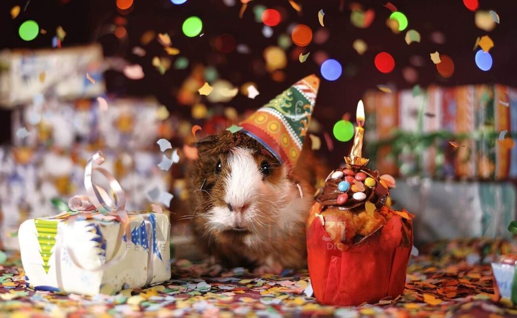 il tuo compleanno a capodanno idee e suggerimenti
